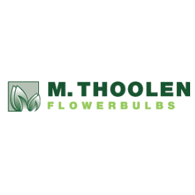 mthoolen-logo