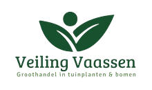 Case: Veiling Vaassen